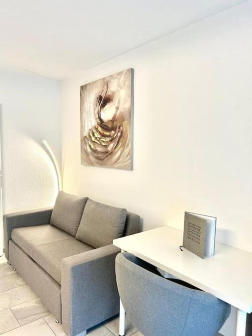 Casa Ambizione Apartment Dietikon Exterior photo